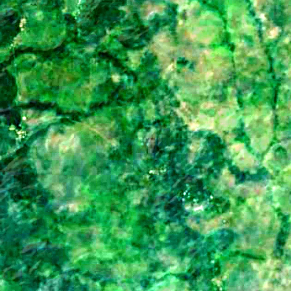 The ground above Ngog Lituba cave (Sentinel-2)