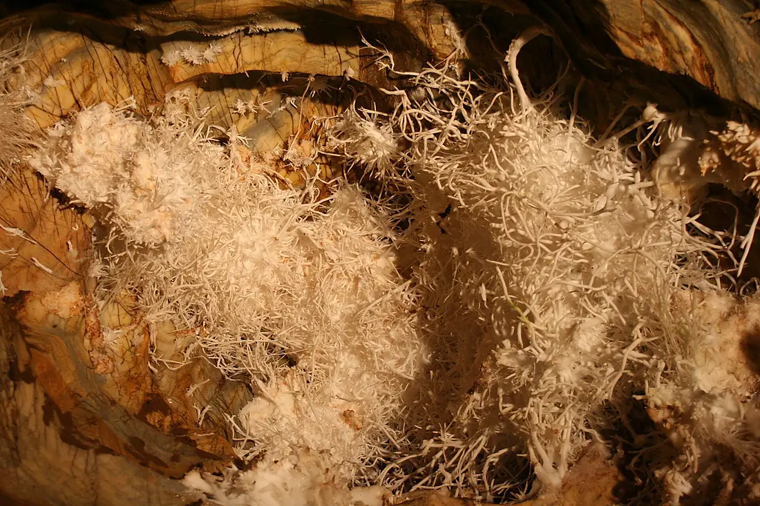 Ochtina Aragonite Cave 28