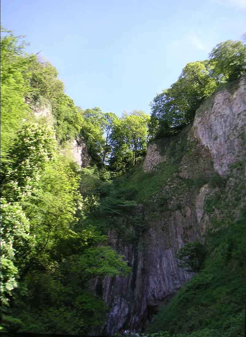 Peak Cavern (167196464)