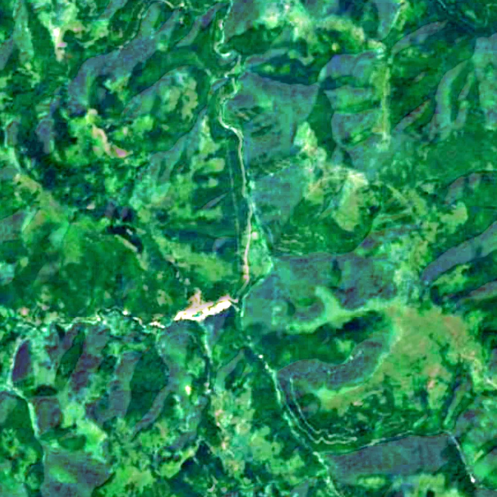 Der Boden über Pećinska church (Sentinel-2)