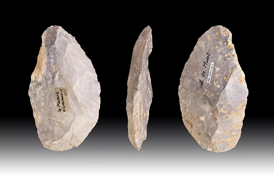 Racloir Grotte du Plaquard MHNT PRE2009.0.0205.6 (2)