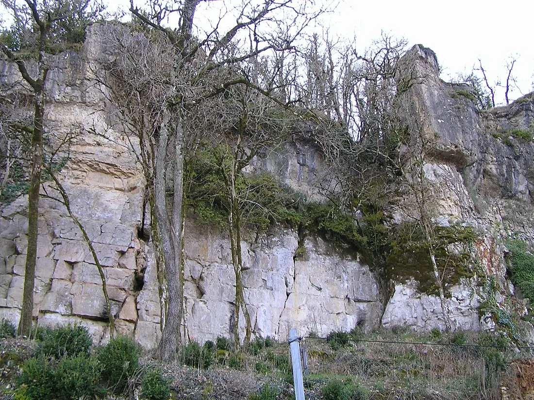 Vilhonneur14