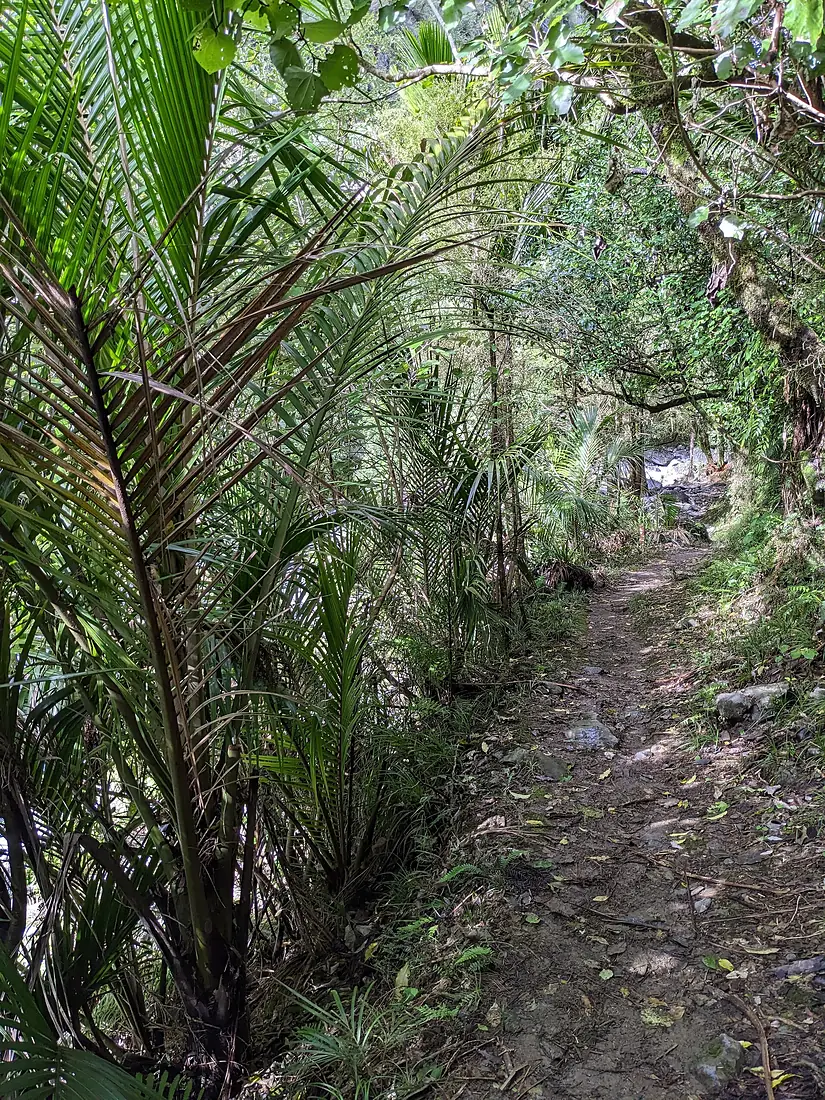 Dry Valley near Rawhiti Cave, Tasman, New Zealand 3
