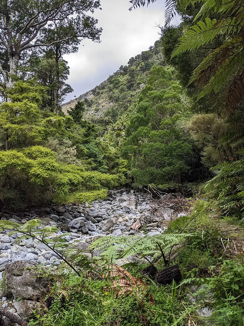 Dry Valley near Rawhiti Cave, Tasman, New Zealand 7