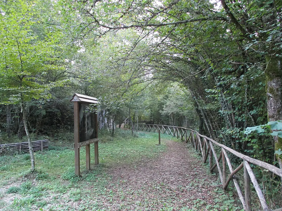 Viale dell'Ovito