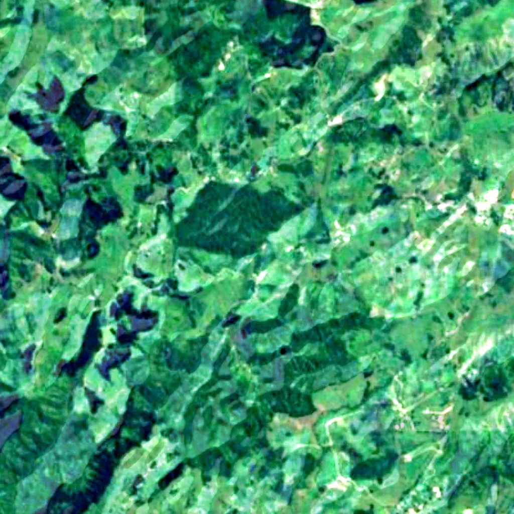 Il terreno sopra Ruakuri Cave (Sentinel-2)