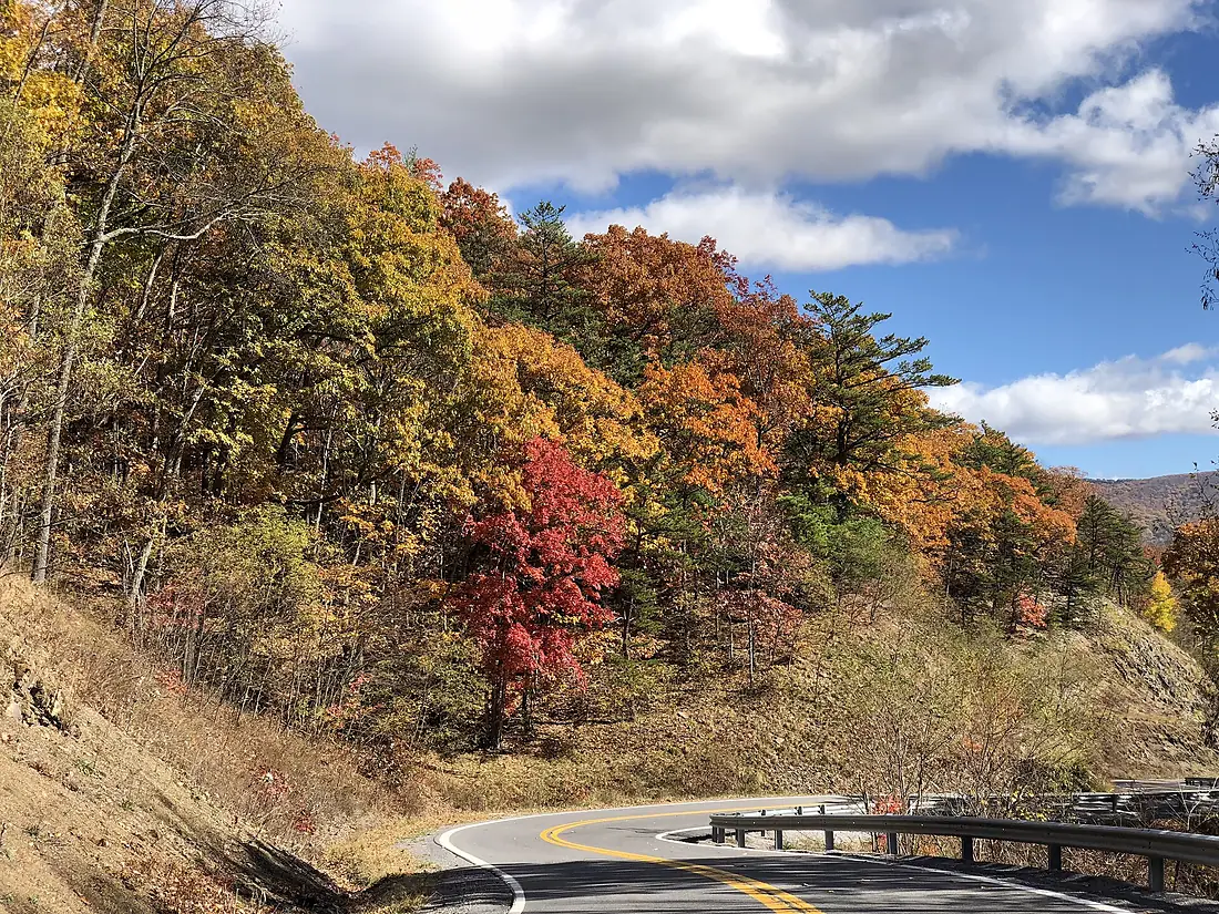 2019-10-27 13 34 00 View east along Pendleton County Route 33-4 (Briery Gap Road) between Lower Timber Ridge Road and U.S. Route 33-West Virginia State Route 28 in Simoda, Pendleton County, West Virginia
