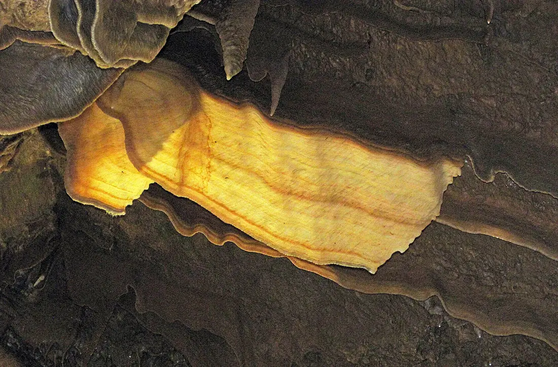 Travertine draperies ("cave bacon") (Shenandoah Caverns, Quicksburg, Virginia, USA) 15