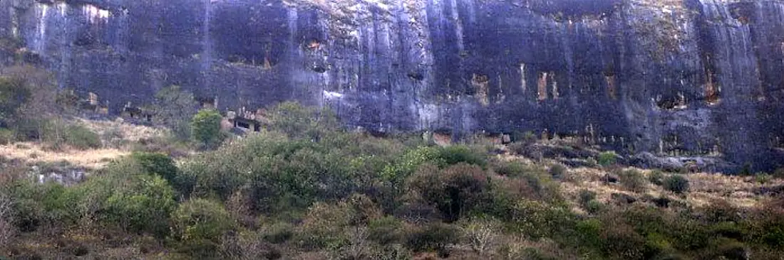 Shivneri East facing Group 1