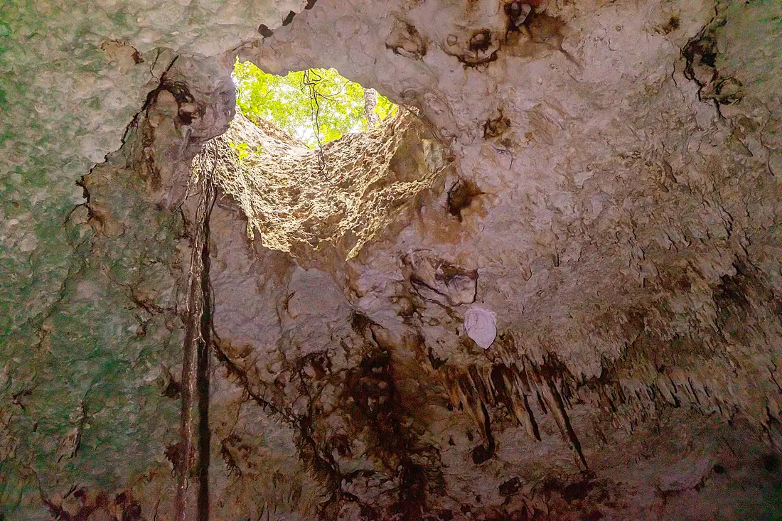 Cenote Dos Ojos, Yucatán, México, 2025-12-23, DD 43