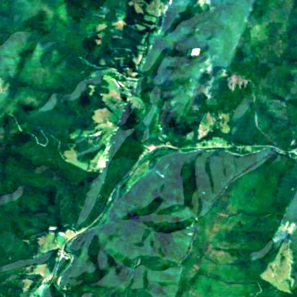 El suelo sobre Smoke Hole Caverns (Sentinel-2)