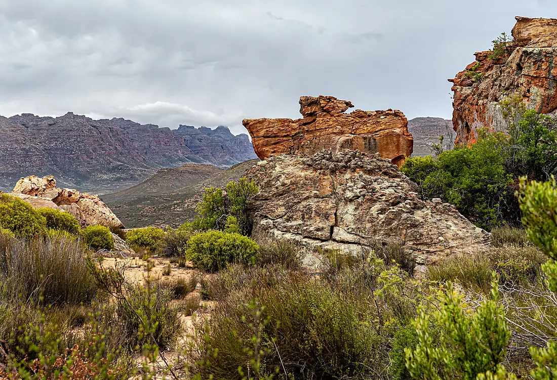 Cederberg, Western Cape (52072316187)