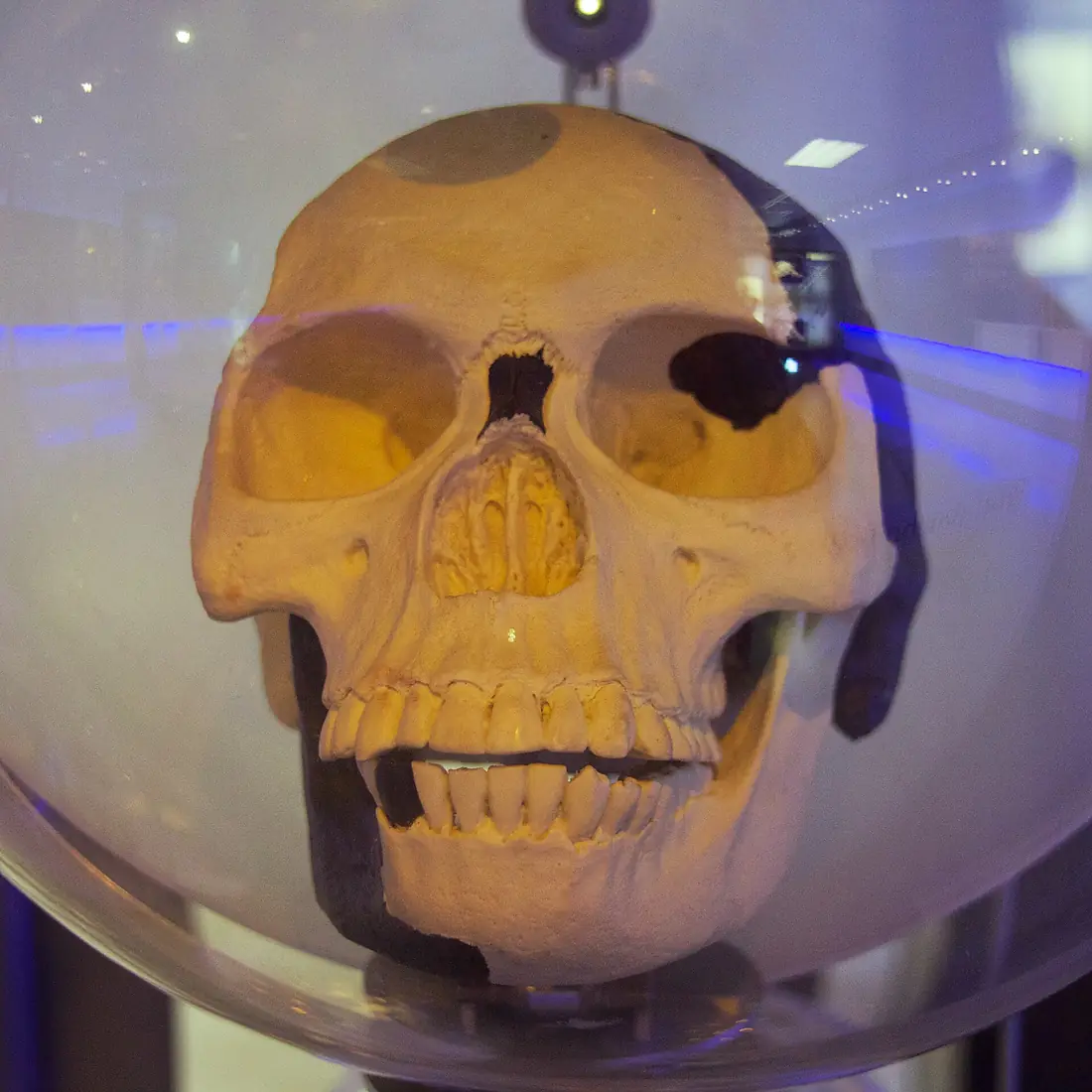 Sterkfontein Caves 1