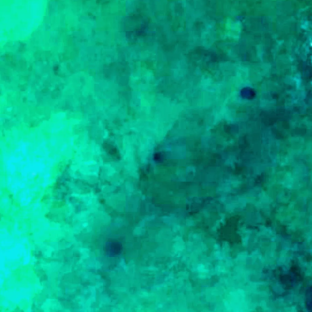 Der Boden über Taam ja’ Blue Hole (Sentinel-2)