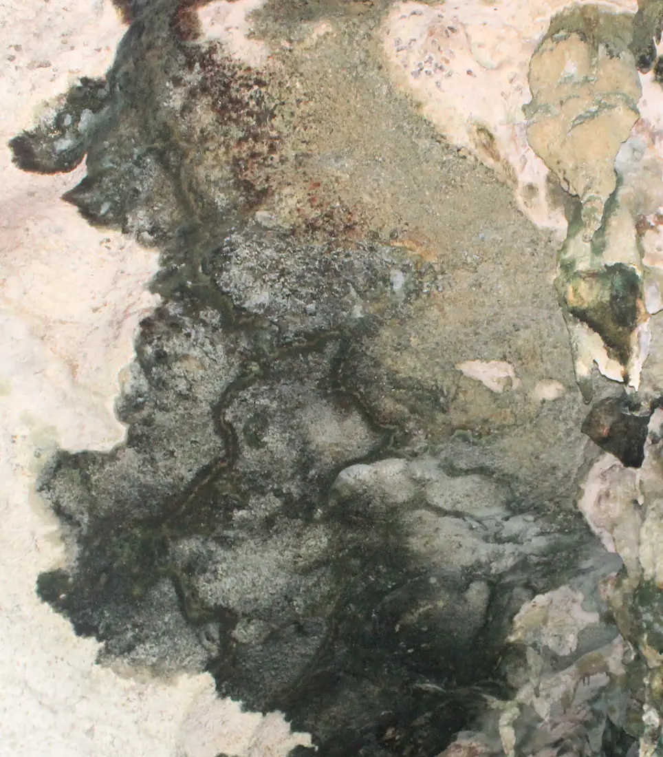 Dark blotch mid-way up cave wall on left side of Tabon Cave