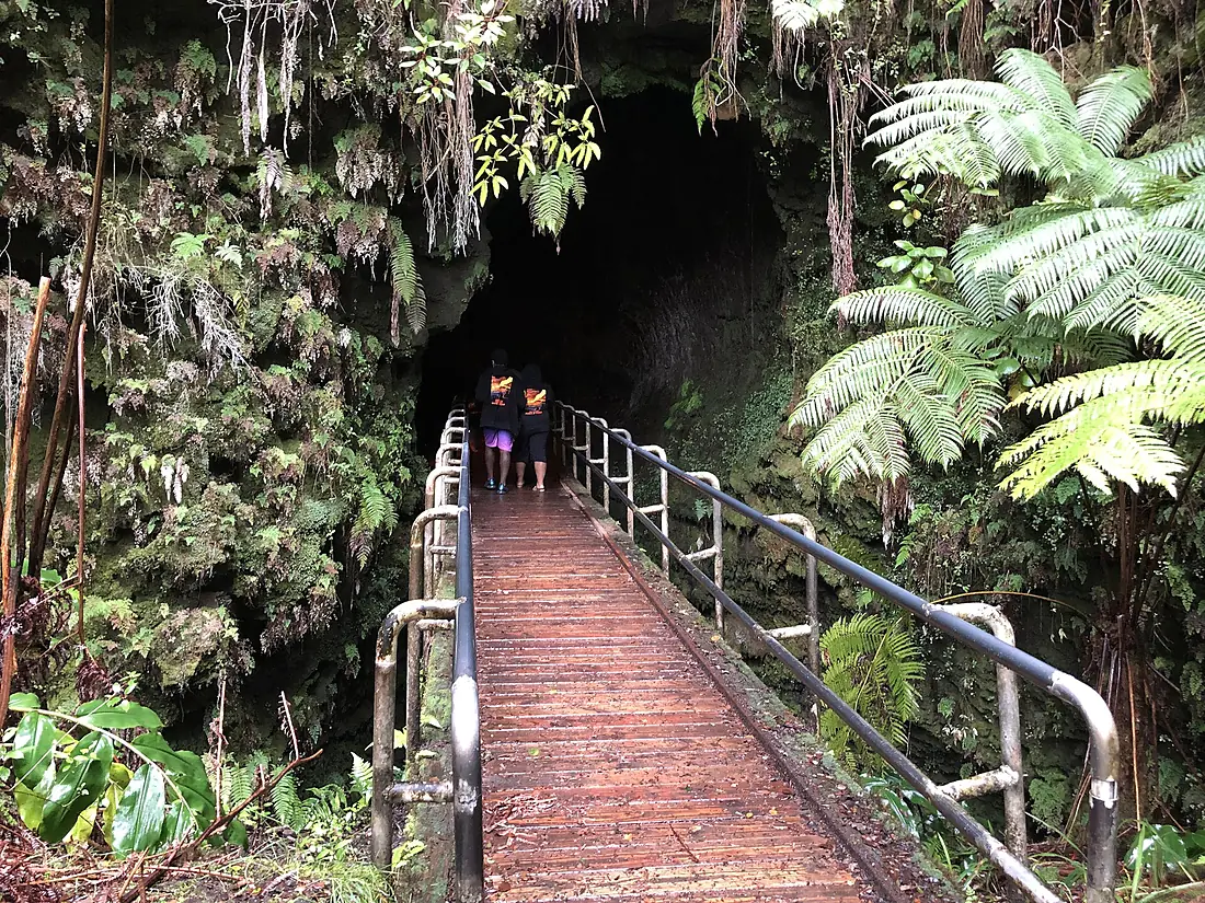 2021-10-09 13 52 23 The southwestern entrance of the Thurston Lava Tube within Hawaii Volcanoes National Park in Hawaii County, Hawaii