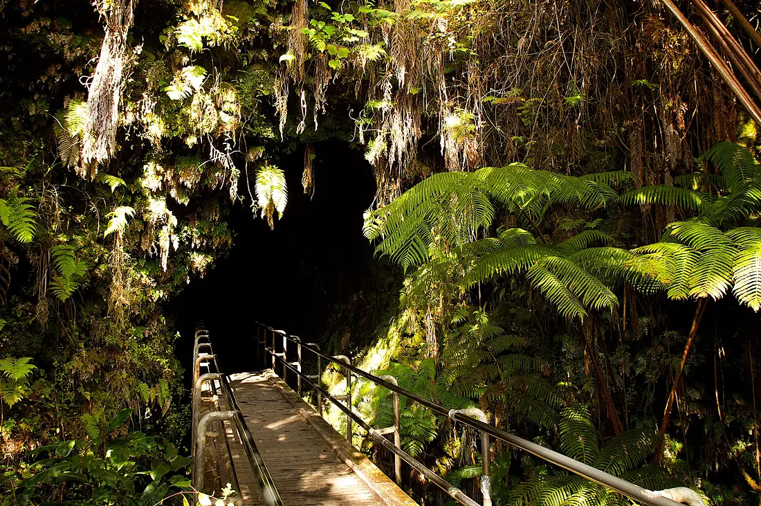 Entrance Thurston Lava Tube