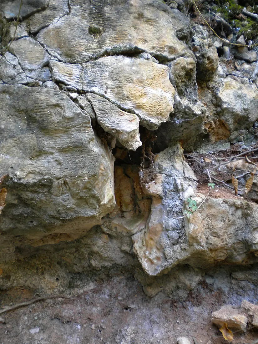 Villars cave sinter