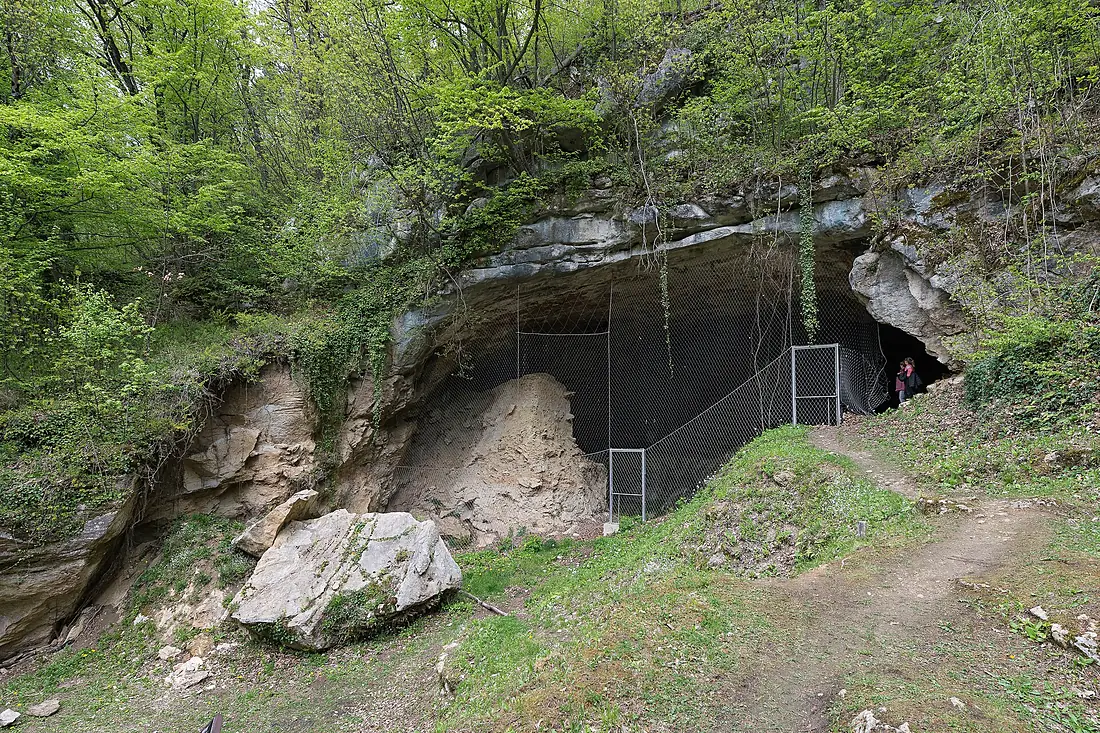 Vindija Cave 1