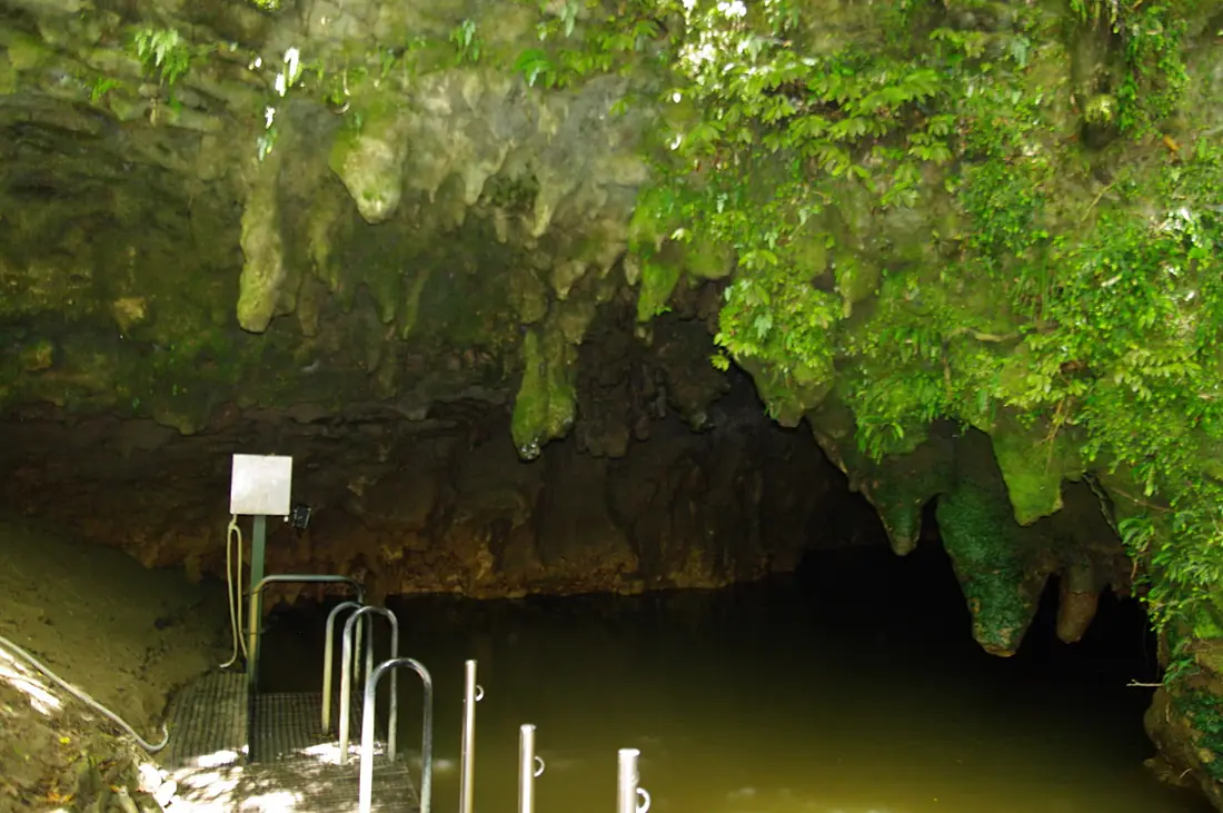NZL-waitomo-cave-exit