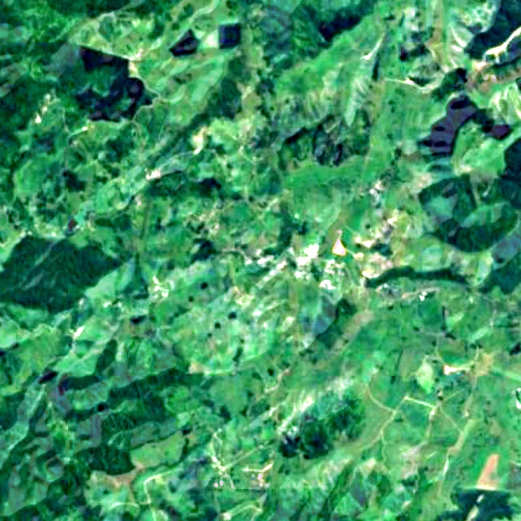 De grond boven Waitomo Glowworm Caves (Sentinel-2)