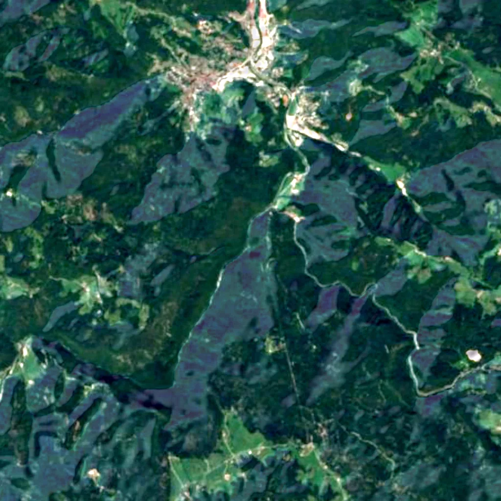 Il terreno sopra Lago Selvaggio (Sentinel-2)