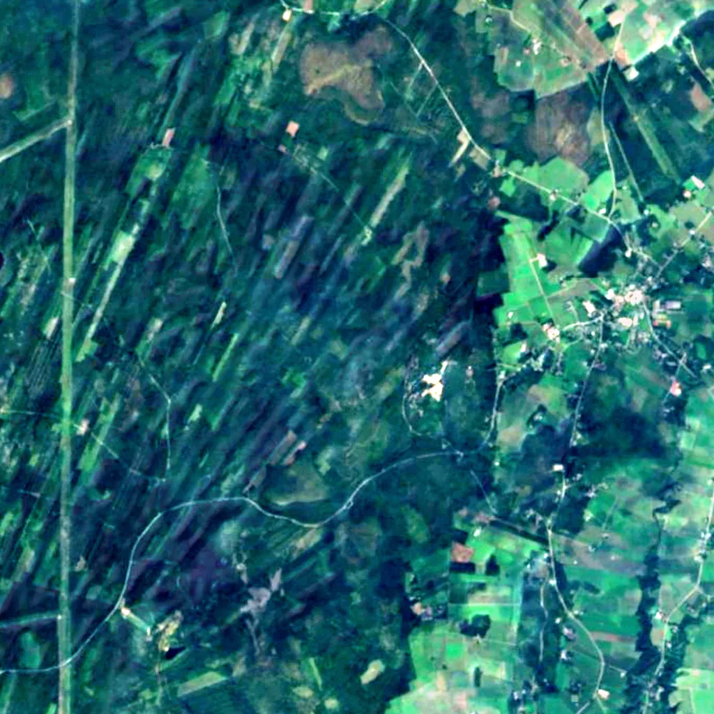 The ground above Wolf Cave (Sentinel-2)
