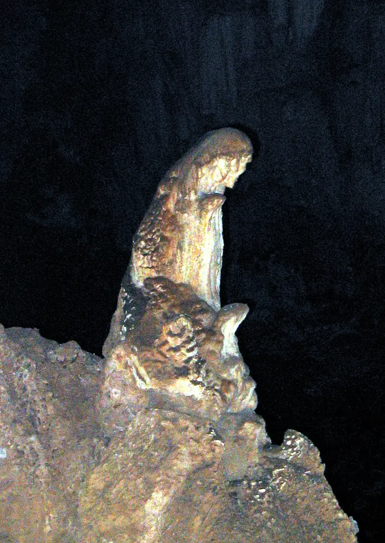 Virgin mary sterkfontein