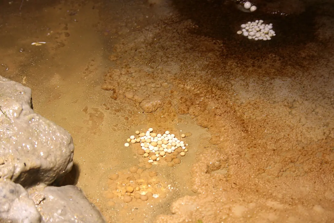 Yagodinska Cave, cave pearls